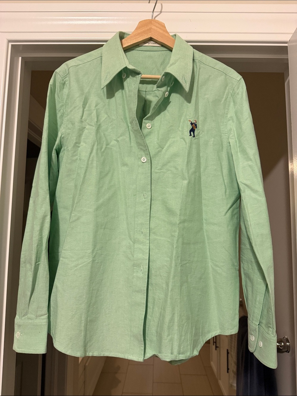 Light Green Long-Sleeve Button-Down Shirt